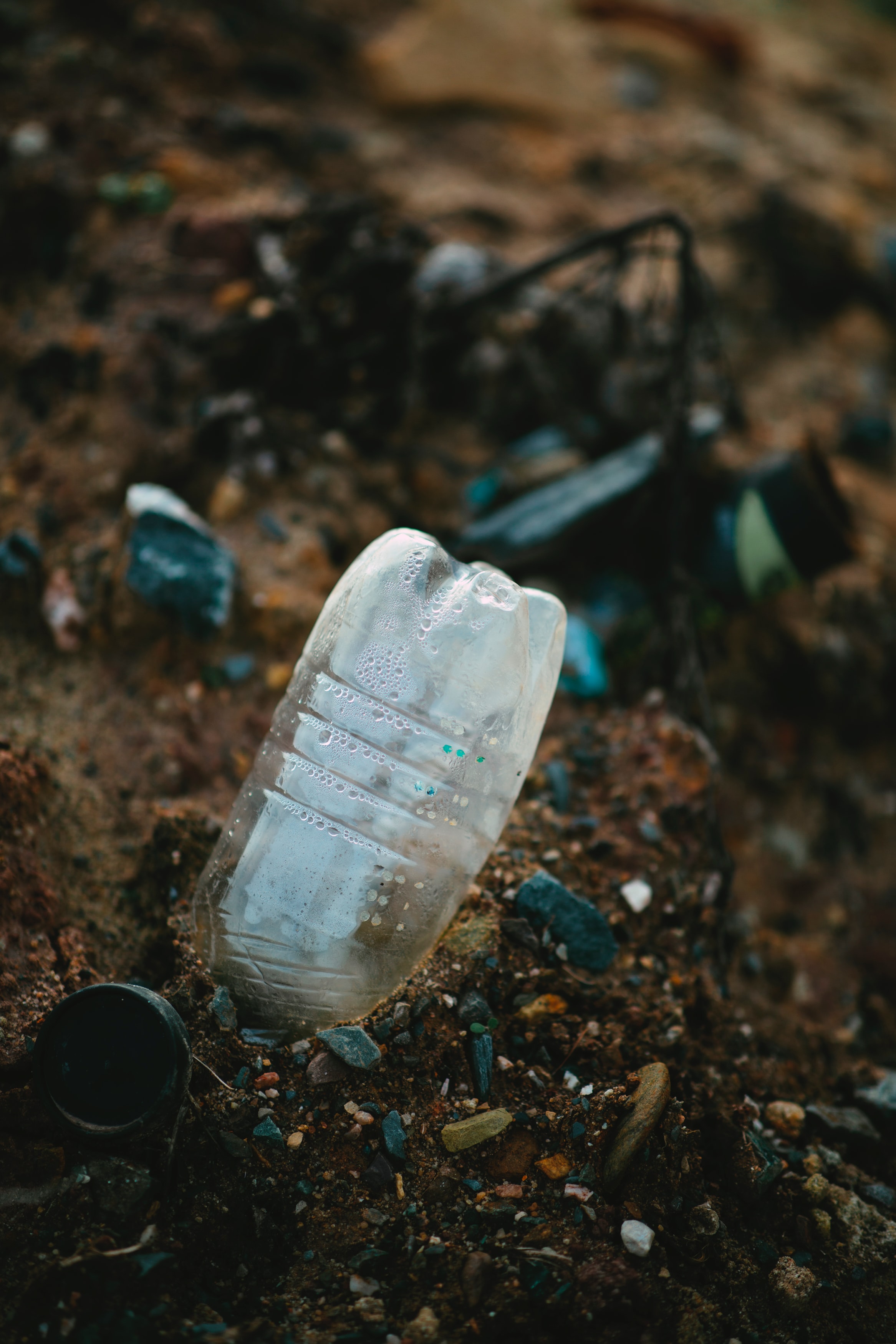 bottiglia plastica in terra.jpg